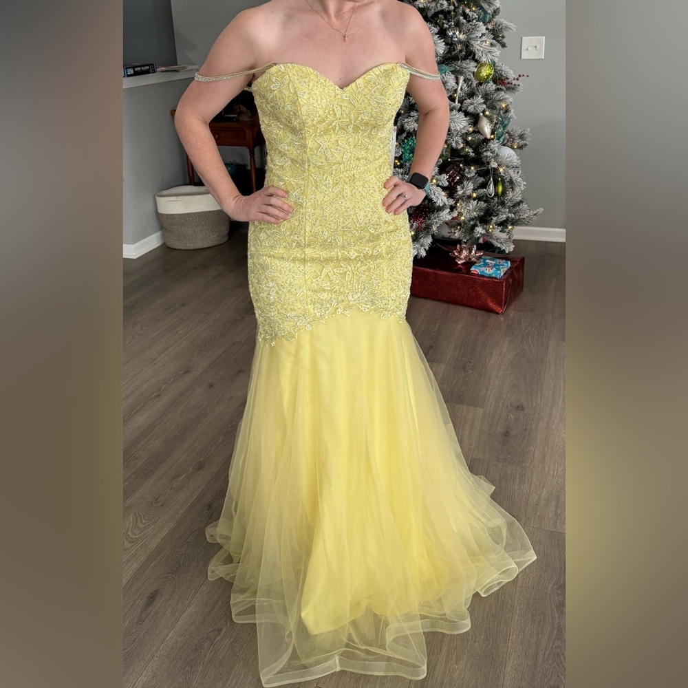 Gorgeous Vienna gown size 4 new with tags.